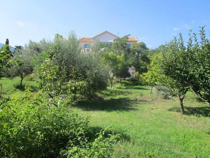 Zeus And Hera Apartments Nikiana Bagian luar foto